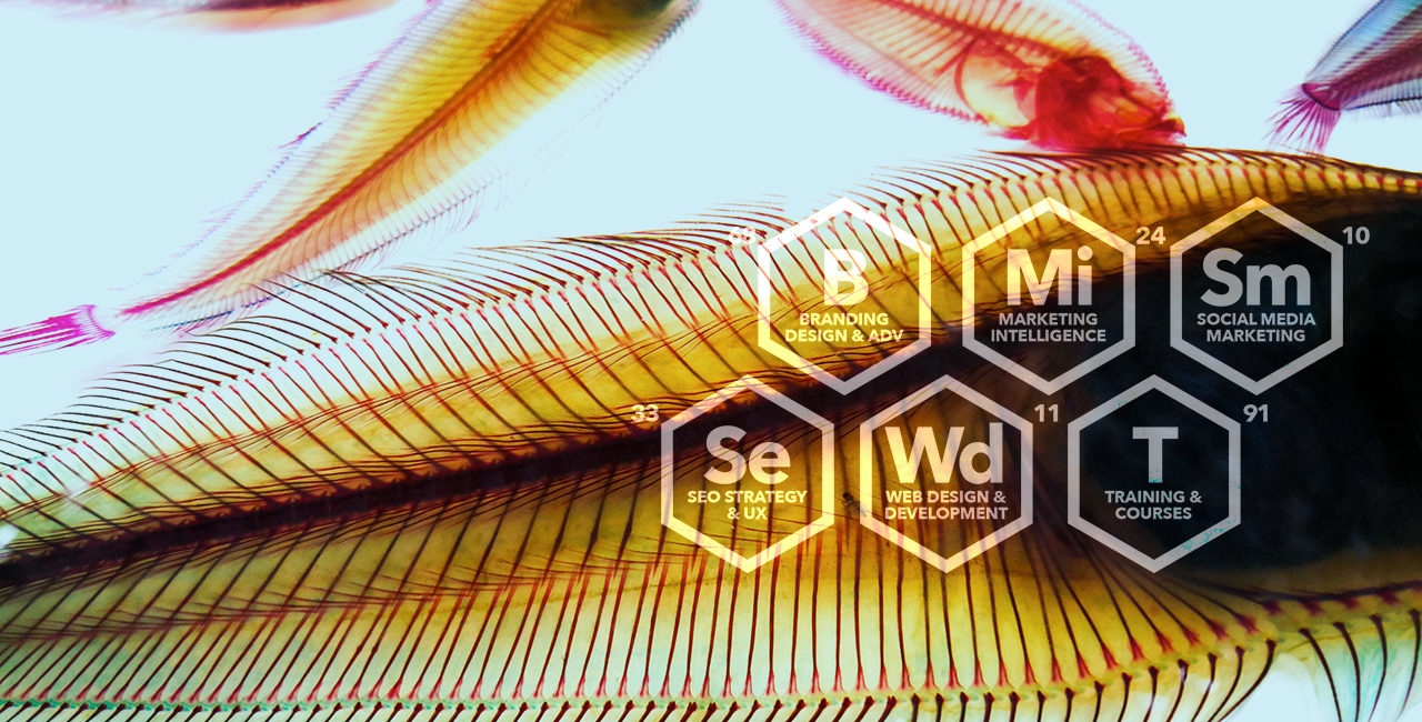 Estrogeni&Partners 6 servizi di marketing per sedici anni attività