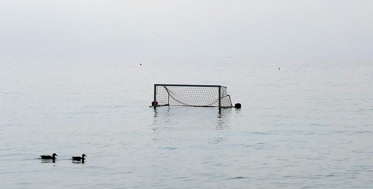 Porta di pallanuoto in mare con anatre, articolo di Estrogeni&Partners
