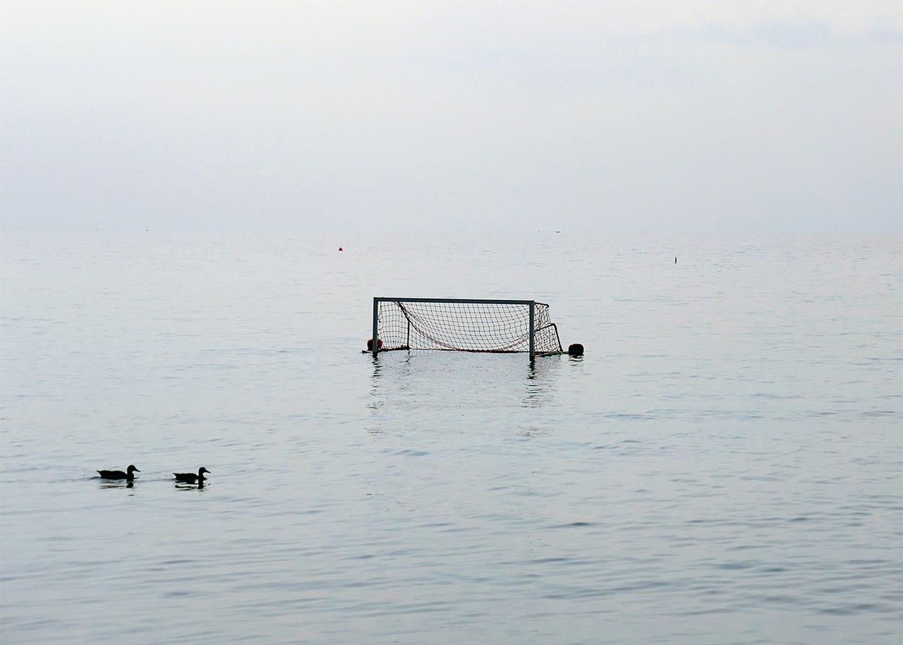 Porta di pallanuoto in mare con anatre, articolo di Estrogeni&Partners